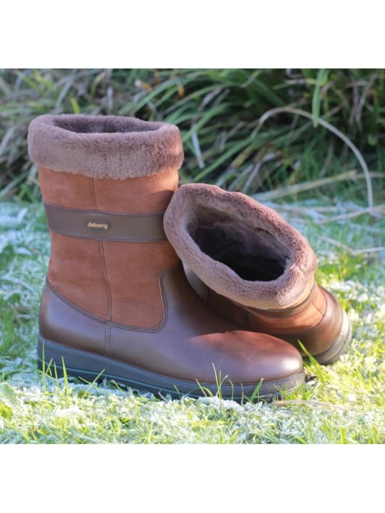 Bottillon pour femme Foxrock Dubarry Walnut