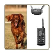 Accessoires chien chasse