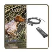 Collier de repérage chien de chasse