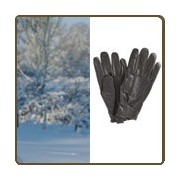 Gants de chasse